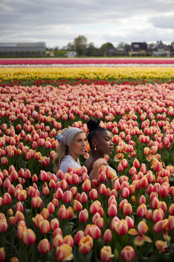 24 Hours in Amsterdam!